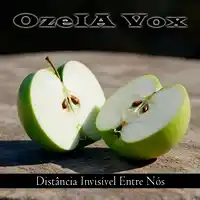 Capa de disco