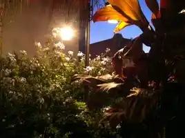 Capa de disco