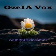  capa do disco semente do amor 